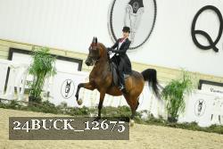 24BUCK_12675 proof
