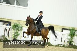 24BUCK_12676 proof