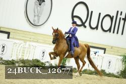24BUCK_12677 proof