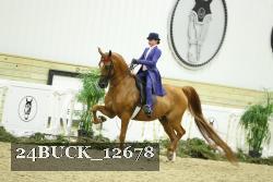 24BUCK_12678 proof