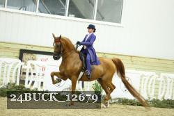 24BUCK_12679 proof