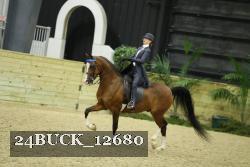 24BUCK_12680 proof