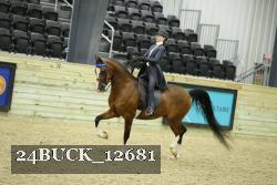 24BUCK_12681 proof