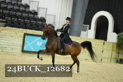 24BUCK_12682 proof