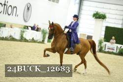 24BUCK_12683 proof
