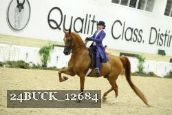 24BUCK_12684 proof