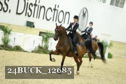 24BUCK_12685 proof