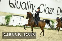 24BUCK_12686 proof