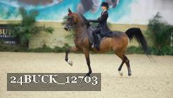 24BUCK_12703 proof