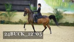 24BUCK_12705 proof