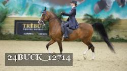 24BUCK_12714 proof