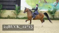 24BUCK_12715 proof