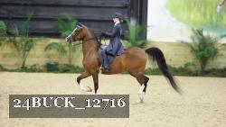 24BUCK_12716 proof