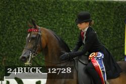 24BUCK_12728 proof