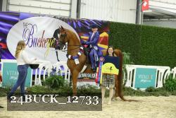 24BUCK_12733 proof