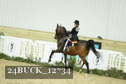 24BUCK_12734 proof
