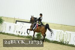 24BUCK_12735 proof