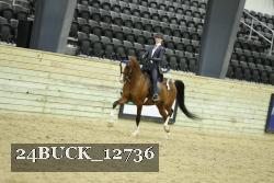 24BUCK_12736 proof
