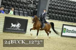 24BUCK_12737 proof