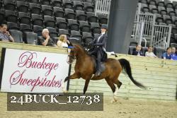 24BUCK_12738 proof