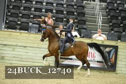 24BUCK_12740 proof