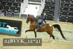 24BUCK_12741 proof