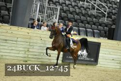 24BUCK_12745 proof