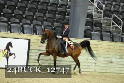 24BUCK_12747 proof
