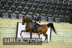 24BUCK_12748 proof