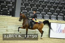 24BUCK_12750 proof