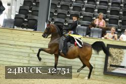 24BUCK_12751 proof