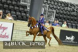 24BUCK_12762 proof