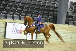 24BUCK_12766 proof