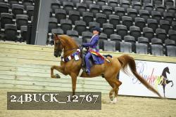 24BUCK_12767 proof