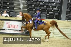 24BUCK_12770 proof