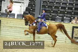 24BUCK_12771 proof