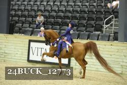 24BUCK_12773 proof
