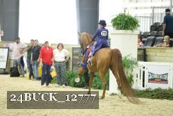 24BUCK_12777 proof