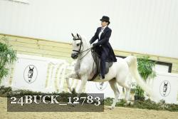24BUCK_12783 proof