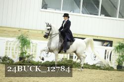 24BUCK_12784 proof