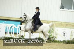24BUCK_12785 proof