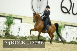 24BUCK_12786 proof