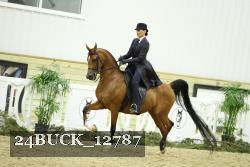 24BUCK_12787 proof