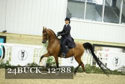 24BUCK_12788 proof
