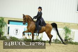 24BUCK_12789 proof