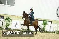 24BUCK_12791 proof