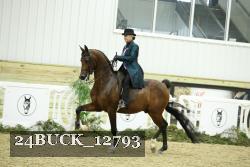 24BUCK_12793 proof