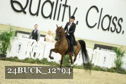 24BUCK_12794 proof