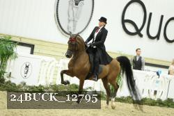 24BUCK_12795 proof