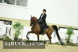 24BUCK_12796 proof